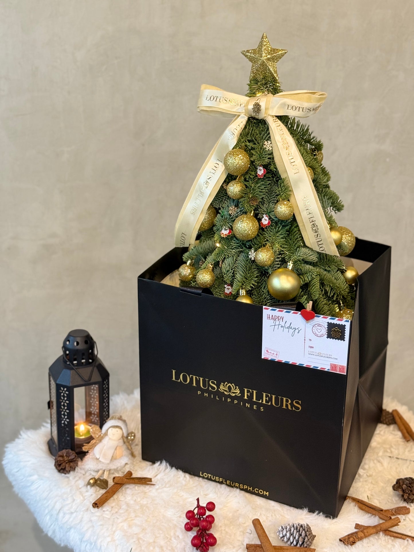 50cm Fresh Christmas Tree