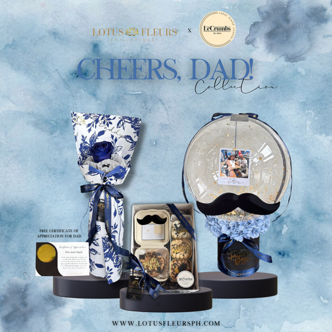 The Amazing Dad - Deluxe Bundle