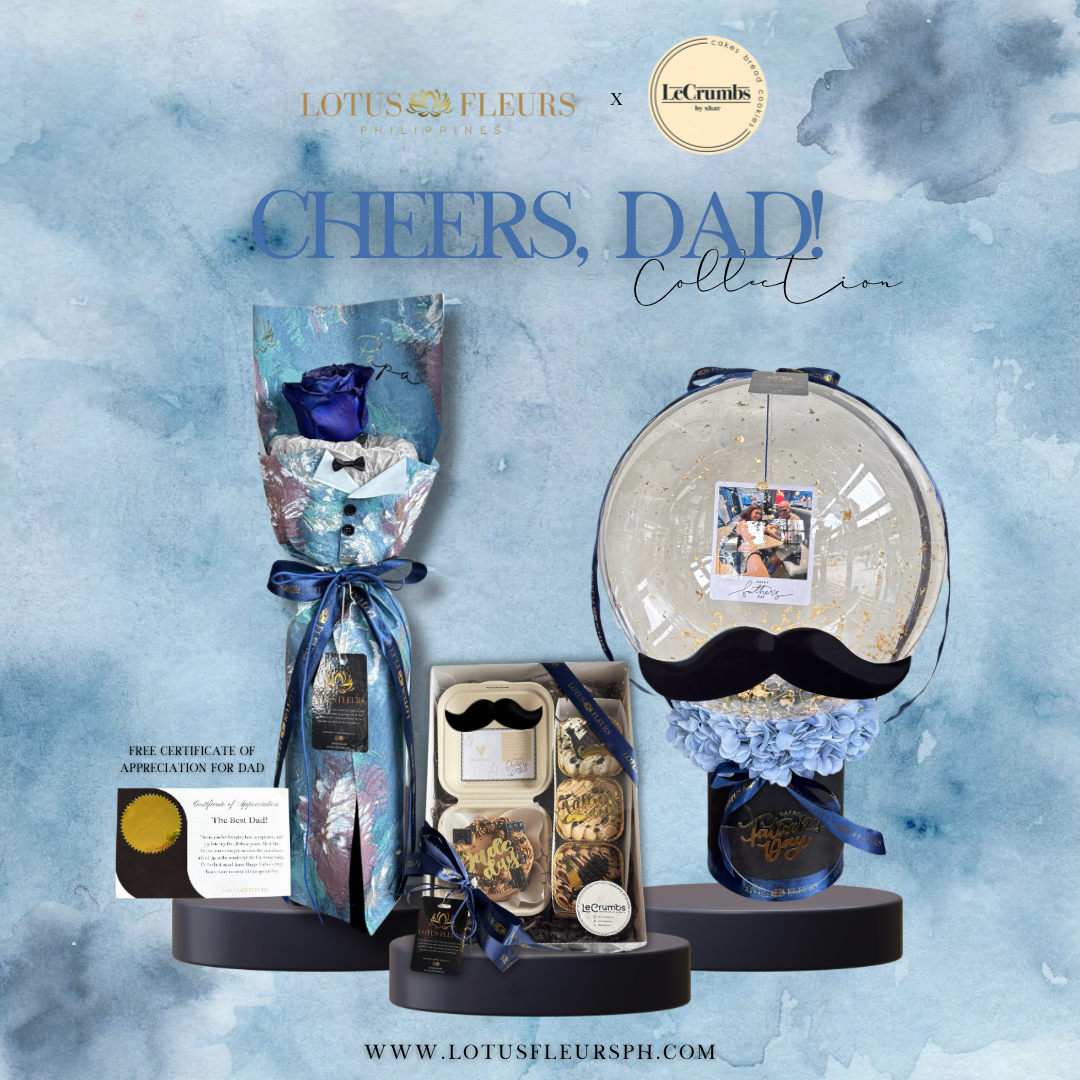 The Amazing Dad - Deluxe Bundle