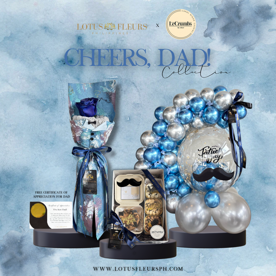 The Amazing Dad - Premium Bundle