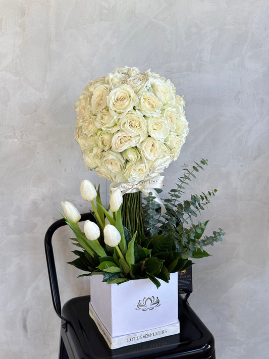 Tulip Rose Canopy