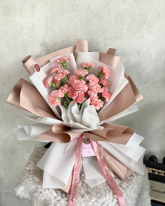 Sweet Carnations