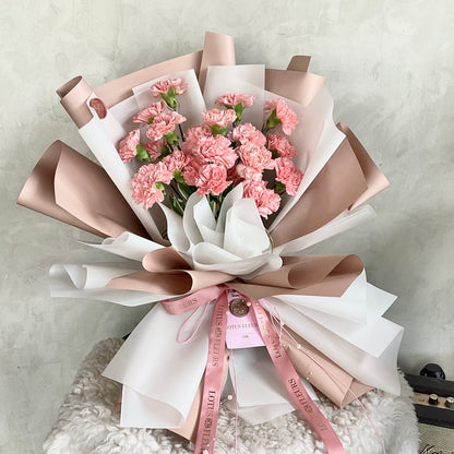 Sweet Carnations
