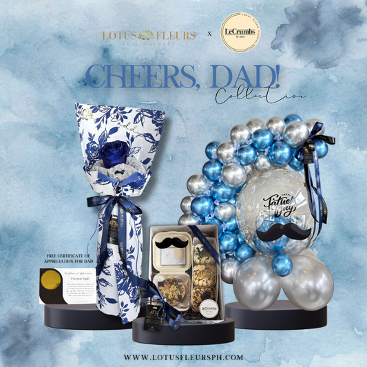 The Amazing Dad - Premium Bundle