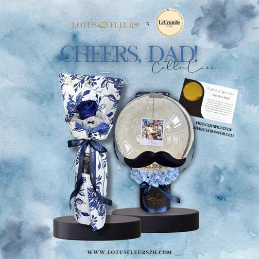The Amazing Dad - Memory Balloon Bundle