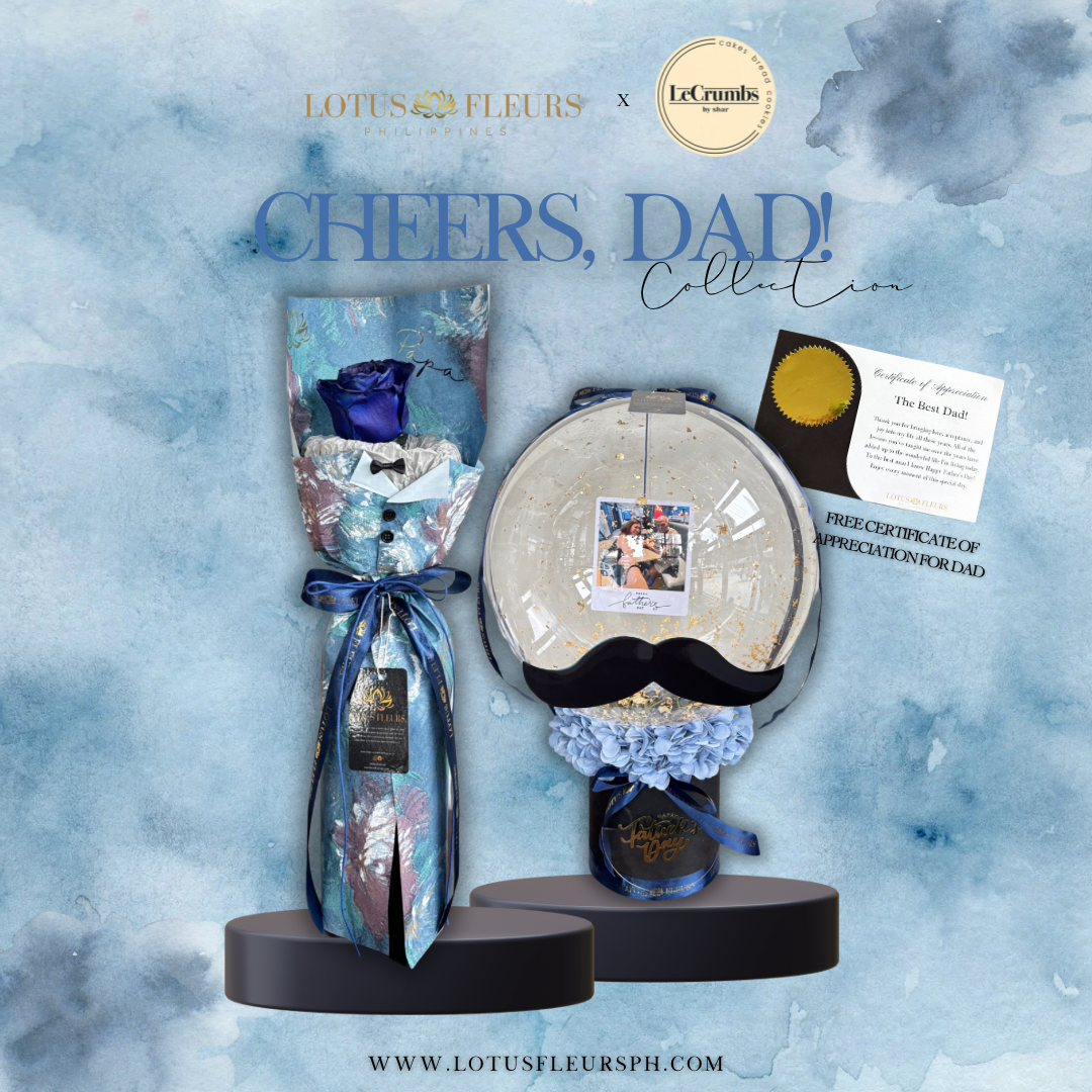 The Amazing Dad - Memory Balloon Bundle