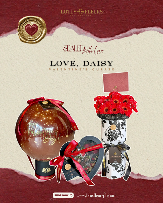 Love, Daisy - Curated Collection
