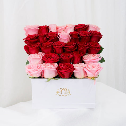 Haute Amour