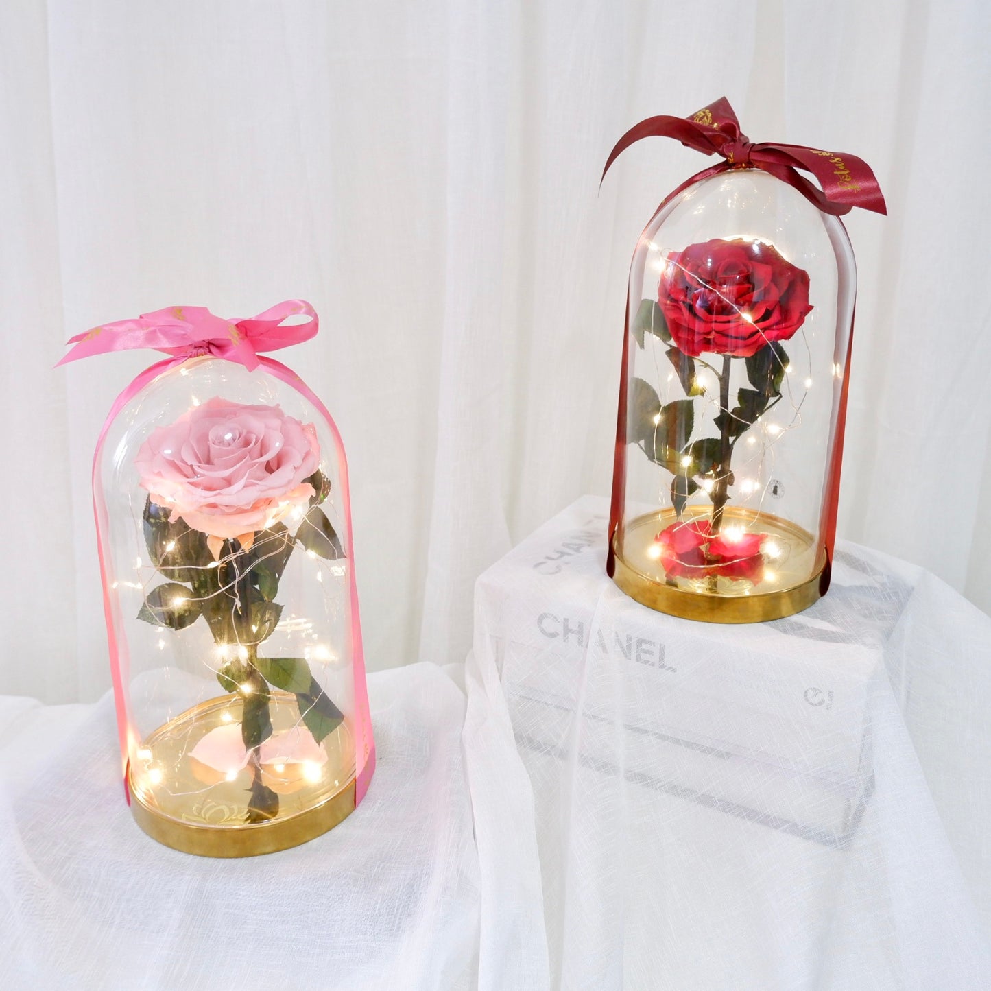 Enchanted Rose